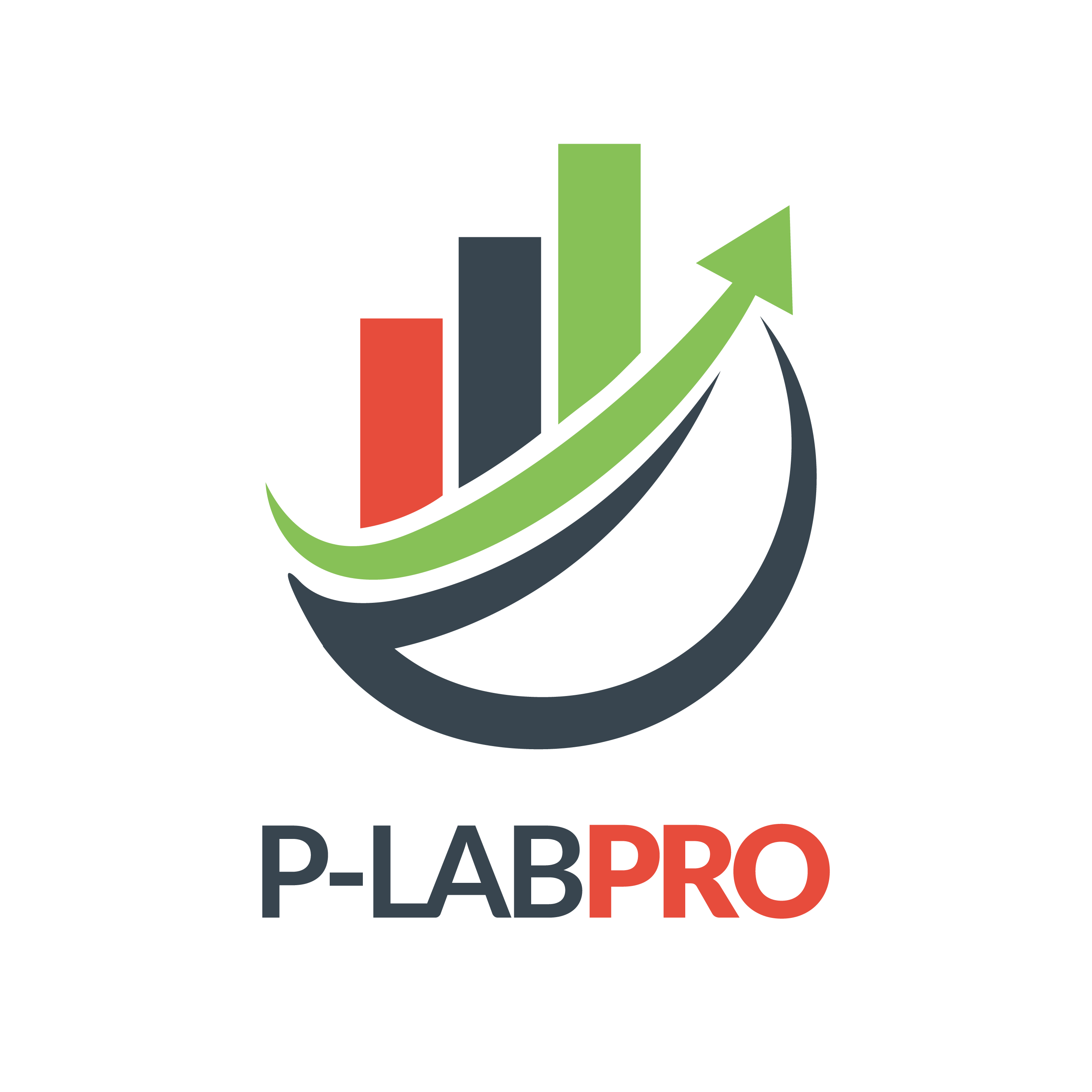 logo_P-Lab_Pro